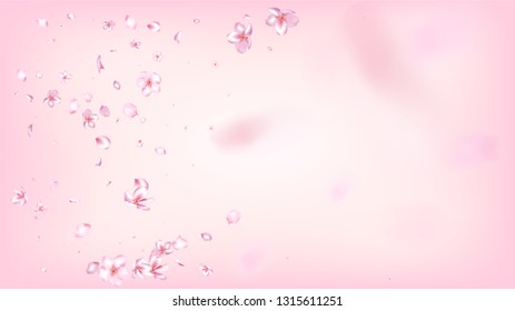 Nice Sakura Blossom Isolated Vector. Watercolor Showering 3d Petals Wedding Pattern. Japanese Blooming Flowers Illustration. Valentine, Mother's Day Feminine Nice Sakura Blossom Isolated on Rose