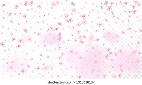 Nice Sakura Blossom Isolated Vector. Beautiful Falling 3d Petals Wedding Design. Japanese Blurred Flowers Wallpaper. Valentine, Mother's Day Summer Nice Sakura Blossom Isolated on White