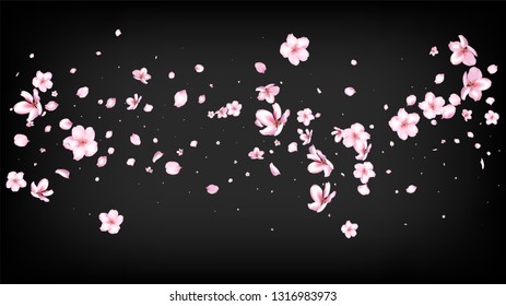 Nice Sakura Blossom Isolated Vector. Watercolor Flying 3d Petals Wedding Frame. Japanese Beauty Spa Flowers Illustration. Valentine, Mother's Day Watercolor Nice Sakura Blossom Isolated on Black