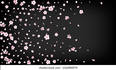 Nice Sakura Blossom Isolated Vector. Summer Showering 3d Petals Wedding Texture. Japanese Gradient Flowers Wallpaper. Valentine, Mother's Day Beautiful Nice Sakura Blossom Isolated on Black