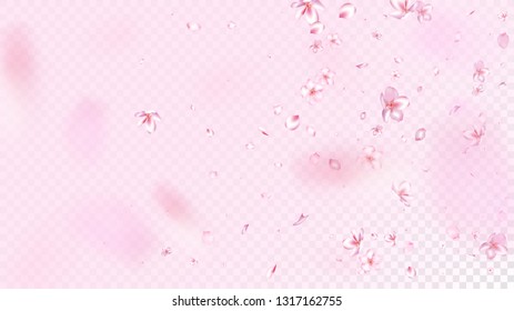 Nice Sakura Blossom Isolated Vector. Summer Blowing 3d Petals Wedding Texture. Japanese Blooming Flowers Wallpaper. Valentine, Mother's Day Realistic Nice Sakura Blossom Isolated on Rose