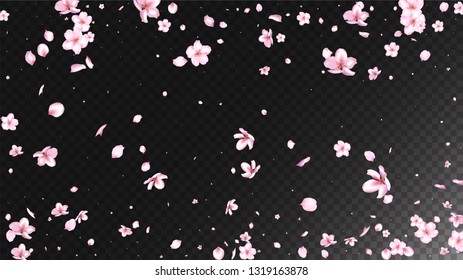 Nice Sakura Blossom Isolated Vector. Tender Flying 3d Petals Wedding Border. Japanese Beauty Spa Flowers Illustration. Valentine, Mother's Day Watercolor Nice Sakura Blossom Isolated on Black