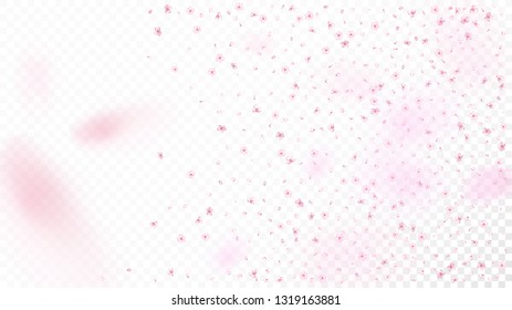 Nice Sakura Blossom Isolated Vector. Tender Flying 3d Petals Wedding Frame. Japanese Blurred Flowers Illustration. Valentine, Mother's Day Realistic Nice Sakura Blossom Isolated on White
