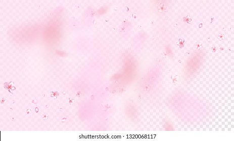 Nice Sakura Blossom Isolated Vector. Realistic Flying 3d Petals Wedding Paper. Japanese Bokeh Flowers Wallpaper. Valentine, Mother's Day Tender Nice Sakura Blossom Isolated on Rose