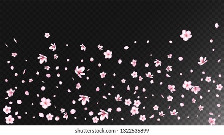 Nice Sakura Blossom Isolated Vector. Feminine Flying 3d Petals Wedding Frame. Japanese Gradient Flowers Illustration. Valentine, Mother's Day Tender Nice Sakura Blossom Isolated on Black