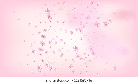 Nice Sakura Blossom Isolated Vector. Pastel Showering 3d Petals Wedding Border. Japanese Beauty Spa Flowers Wallpaper. Valentine, Mother's Day Feminine Nice Sakura Blossom Isolated on Rose