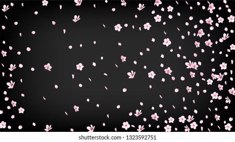 Nice Sakura Blossom Isolated Vector. Summer Falling 3d Petals Wedding Texture. Japanese Blurred Flowers Wallpaper. Valentine, Mother's Day Watercolor Nice Sakura Blossom Isolated on Black