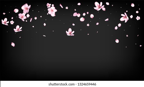 Nice Sakura Blossom Isolated Vector. Feminine Falling 3d Petals Wedding Texture. Japanese Beauty Spa Flowers Illustration. Valentine, Mother's Day Pastel Nice Sakura Blossom Isolated on Black