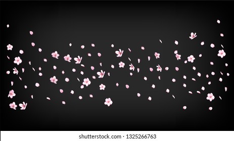 Nice Sakura Blossom Isolated Vector. Magic Falling 3d Petals Wedding Paper. Japanese Gradient Flowers Wallpaper. Valentine, Mother's Day Summer Nice Sakura Blossom Isolated on Black
