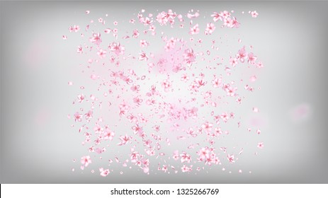 Nice Sakura Blossom Isolated Vector. Realistic Flying 3d Petals Wedding Border. Japanese Nature Flowers Illustration. Valentine, Mother's Day Realistic Nice Sakura Blossom Isolated on White