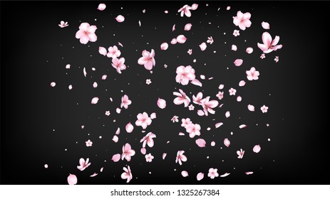 Nice Sakura Blossom Isolated Vector. Beautiful Falling 3d Petals Wedding Pattern. Japanese Bokeh Flowers Illustration. Valentine, Mother's Day Tender Nice Sakura Blossom Isolated on Black