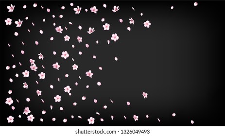Nice Sakura Blossom Isolated Vector. Summer Falling 3d Petals Wedding Pattern. Japanese Beauty Spa Flowers Wallpaper. Valentine, Mother's Day Beautiful Nice Sakura Blossom Isolated on Black