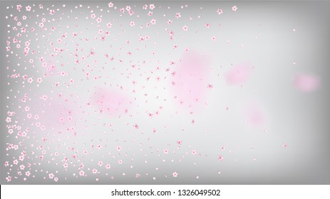 Nice Sakura Blossom Isolated Vector. Spring Blowing 3d Petals Wedding Texture. Japanese Oriental Flowers Illustration. Valentine, Mother's Day Magic Nice Sakura Blossom Isolated on White