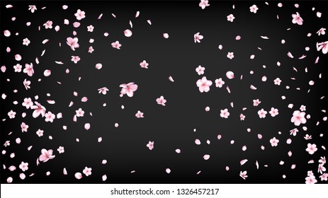 Nice Sakura Blossom Isolated Vector. Watercolor Blowing 3d Petals Wedding Border. Japanese Oriental Flowers Illustration. Valentine, Mother's Day Watercolor Nice Sakura Blossom Isolated on Black