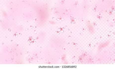 Nice Sakura Blossom Isolated Vector. Beautiful Flying 3d Petals Wedding Design. Japanese Gradient Flowers Illustration. Valentine, Mother's Day Realistic Nice Sakura Blossom Isolated on Rose