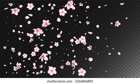 Nice Sakura Blossom Isolated Vector. Tender Showering 3d Petals Wedding Border. Japanese Gradient Flowers Illustration. Valentine, Mother's Day Feminine Nice Sakura Blossom Isolated on Black