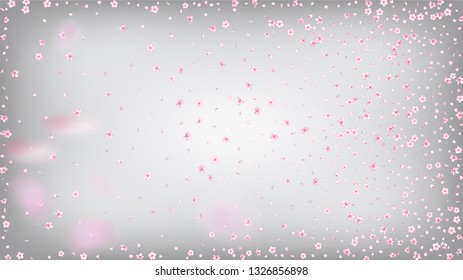 Nice Sakura Blossom Isolated Vector. Spring Showering 3d Petals Wedding Design. Japanese Style Flowers Illustration. Valentine, Mother's Day Realistic Nice Sakura Blossom Isolated on White