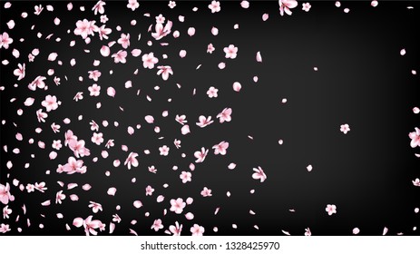 Nice Sakura Blossom Isolated Vector. Summer Flying 3d Petals Wedding Paper. Japanese Blooming Flowers Wallpaper. Valentine, Mother's Day Summer Nice Sakura Blossom Isolated on Black