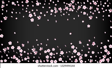 Nice Sakura Blossom Isolated Vector. Summer Blowing 3d Petals Wedding Pattern. Japanese Blurred Flowers Wallpaper. Valentine, Mother's Day Realistic Nice Sakura Blossom Isolated on Black