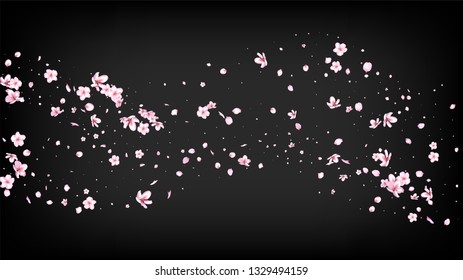 Nice Sakura Blossom Isolated Vector. Watercolor Flying 3d Petals Wedding Frame. Japanese Oriental Flowers Wallpaper. Valentine, Mother's Day Feminine Nice Sakura Blossom Isolated on Black