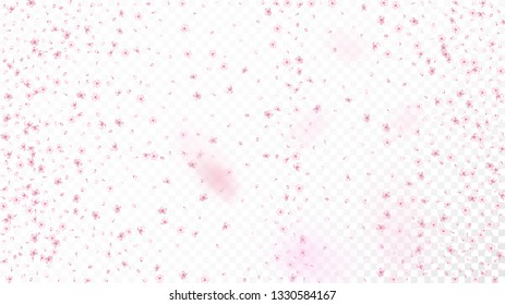 Nice Sakura Blossom Isolated Vector. Feminine Showering 3d Petals Wedding Texture. Japanese Oriental Flowers Wallpaper. Valentine, Mother's Day Spring Nice Sakura Blossom Isolated on White