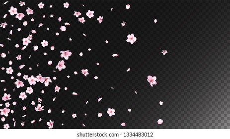 Nice Sakura Blossom Isolated Vector. Feminine Blowing 3d Petals Wedding Texture. Japanese Funky Flowers Illustration. Valentine, Mother's Day Feminine Nice Sakura Blossom Isolated on Black