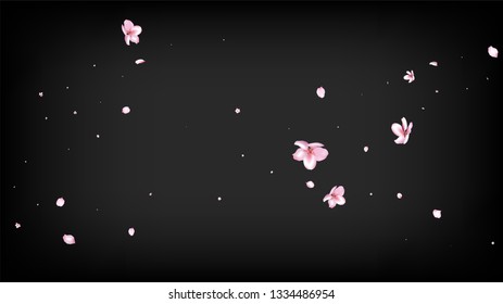 Nice Sakura Blossom Isolated Vector. Watercolor Flying 3d Petals Wedding Design. Japanese Style Flowers Illustration. Valentine, Mother's Day Tender Nice Sakura Blossom Isolated on Black
