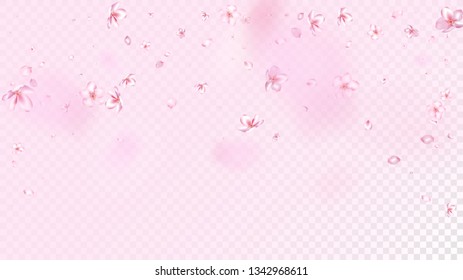 Nice Sakura Blossom Isolated Vector. Tender Blowing 3d Petals Wedding Frame. Japanese Funky Flowers Illustration. Valentine, Mother's Day Beautiful Nice Sakura Blossom Isolated on Rose