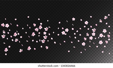 Nice Sakura Blossom Isolated Vector. Summer Blowing 3d Petals Wedding Paper. Japanese Blurred Flowers Illustration. Valentine, Mother's Day Pastel Nice Sakura Blossom Isolated on Black