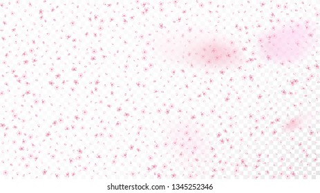 Nice Sakura Blossom Isolated Vector. Magic Falling 3d Petals Wedding Paper. Japanese Funky Flowers Wallpaper. Valentine, Mother's Day Realistic Nice Sakura Blossom Isolated on White