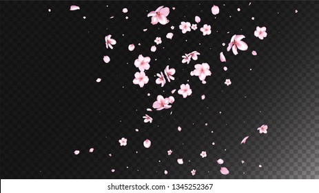 Nice Sakura Blossom Isolated Vector. Spring Blowing 3d Petals Wedding Paper. Japanese Nature Flowers Wallpaper. Valentine, Mother's Day Feminine Nice Sakura Blossom Isolated on Black