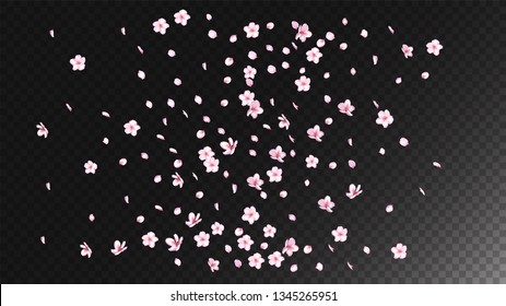 Nice Sakura Blossom Isolated Vector. Realistic Showering 3d Petals Wedding Frame. Japanese Oriental Flowers Illustration. Valentine, Mother's Day Feminine Nice Sakura Blossom Isolated on Black