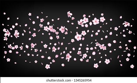 Nice Sakura Blossom Isolated Vector. Tender Flying 3d Petals Wedding Pattern. Japanese Blurred Flowers Wallpaper. Valentine, Mother's Day Summer Nice Sakura Blossom Isolated on Black
