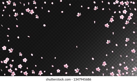 Nice Sakura Blossom Isolated Vector. Watercolor Showering 3d Petals Wedding Paper. Japanese Blooming Flowers Wallpaper. Valentine, Mother's Day Magic Nice Sakura Blossom Isolated on Black