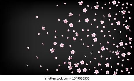 Nice Sakura Blossom Isolated Vector. Tender Flying 3d Petals Wedding Border. Japanese Funky Flowers Illustration. Valentine, Mother's Day Spring Nice Sakura Blossom Isolated on Black
