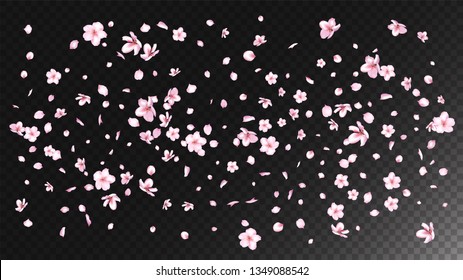 Nice Sakura Blossom Isolated Vector. Summer Falling 3d Petals Wedding Paper. Japanese Funky Flowers Illustration. Valentine, Mother's Day Pastel Nice Sakura Blossom Isolated on Black
