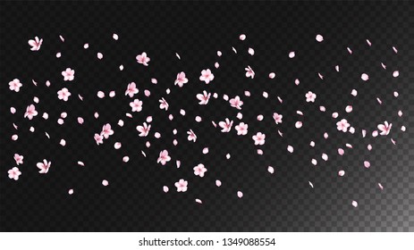 Nice Sakura Blossom Isolated Vector. Feminine Showering 3d Petals Wedding Frame. Japanese Beauty Spa Flowers Illustration. Valentine, Mother's Day Watercolor Nice Sakura Blossom Isolated on Black