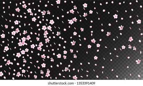 Nice Sakura Blossom Isolated Vector. Magic Showering 3d Petals Wedding Frame. Japanese Beauty Spa Flowers Illustration. Valentine, Mother's Day Pastel Nice Sakura Blossom Isolated on Black