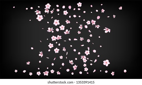 Nice Sakura Blossom Isolated Vector. Spring Showering 3d Petals Wedding Pattern. Japanese Nature Flowers Illustration. Valentine, Mother's Day Beautiful Nice Sakura Blossom Isolated on Black