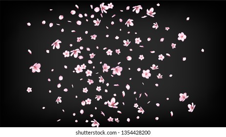 Nice Sakura Blossom Isolated Vector. Realistic Showering 3d Petals Wedding Design. Japanese Beauty Spa Flowers Illustration. Valentine, Mother's Day Tender Nice Sakura Blossom Isolated on Black