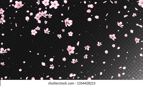 Nice Sakura Blossom Isolated Vector. Spring Flying 3d Petals Wedding Border. Japanese Gradient Flowers Illustration. Valentine, Mother's Day Pastel Nice Sakura Blossom Isolated on Black