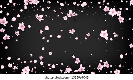 Nice Sakura Blossom Isolated Vector. Summer Showering 3d Petals Wedding Border. Japanese Funky Flowers Wallpaper. Valentine, Mother's Day Pastel Nice Sakura Blossom Isolated on Black