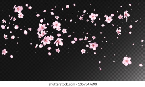 Nice Sakura Blossom Isolated Vector. Tender Flying 3d Petals Wedding Design. Japanese Funky Flowers Wallpaper. Valentine, Mother's Day Watercolor Nice Sakura Blossom Isolated on Black