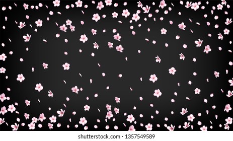 Nice Sakura Blossom Isolated Vector. Realistic Blowing 3d Petals Wedding Paper. Japanese Nature Flowers Illustration. Valentine, Mother's Day Watercolor Nice Sakura Blossom Isolated on Black