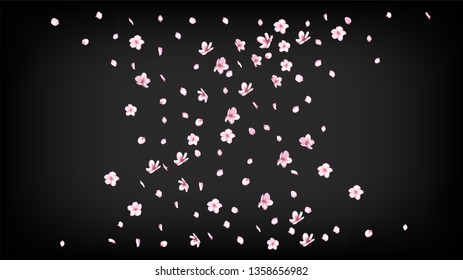 Nice Sakura Blossom Isolated Vector. Magic Flying 3d Petals Wedding Paper. Japanese Beauty Spa Flowers Wallpaper. Valentine, Mother's Day Beautiful Nice Sakura Blossom Isolated on Black