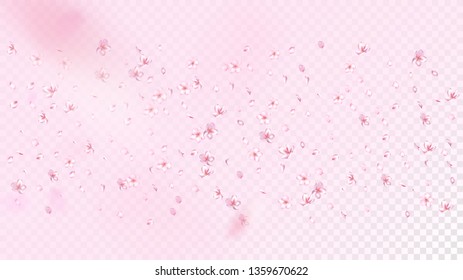 Nice Sakura Blossom Isolated Vector. Feminine Falling 3d Petals Wedding Design. Japanese Style Flowers Wallpaper. Valentine, Mother's Day Beautiful Nice Sakura Blossom Isolated on Rose
