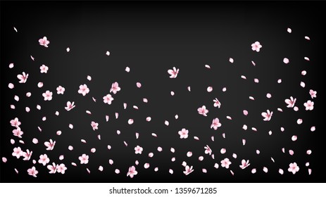 Nice Sakura Blossom Isolated Vector. Tender Blowing 3d Petals Wedding Design. Japanese Style Flowers Wallpaper. Valentine, Mother's Day Spring Nice Sakura Blossom Isolated on Black