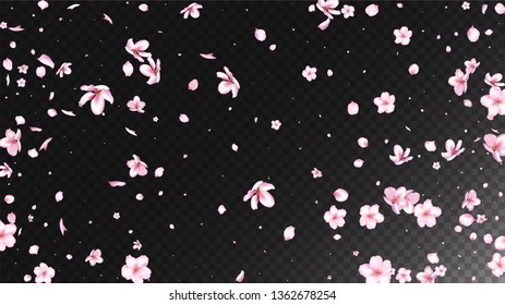 Nice Sakura Blossom Isolated Vector. Tender Flying 3d Petals Wedding Border. Japanese Funky Flowers Illustration. Valentine, Mother's Day Magic Nice Sakura Blossom Isolated on Black