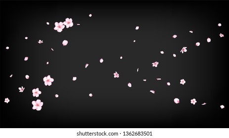 Nice Sakura Blossom Isolated Vector. Spring Showering 3d Petals Wedding Pattern. Japanese Funky Flowers Illustration. Valentine, Mother's Day Spring Nice Sakura Blossom Isolated on Black