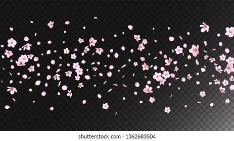 Nice Sakura Blossom Isolated Vector. Spring Falling 3d Petals Wedding Texture. Japanese Nature Flowers Wallpaper. Valentine, Mother's Day Watercolor Nice Sakura Blossom Isolated on Black